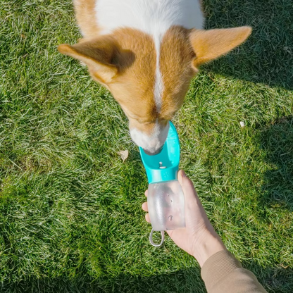 Portable Pet Water Bottle 300ML – For Dogs & Cats, Hiking & Travel